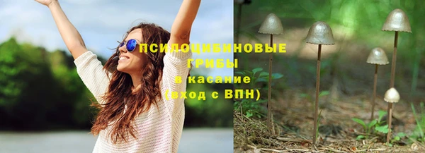 ПСИЛОЦИБИНОВЫЕ ГРИБЫ Карпинск