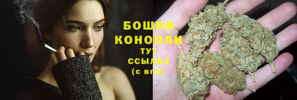 ПСИЛОЦИБИНОВЫЕ ГРИБЫ Карпинск